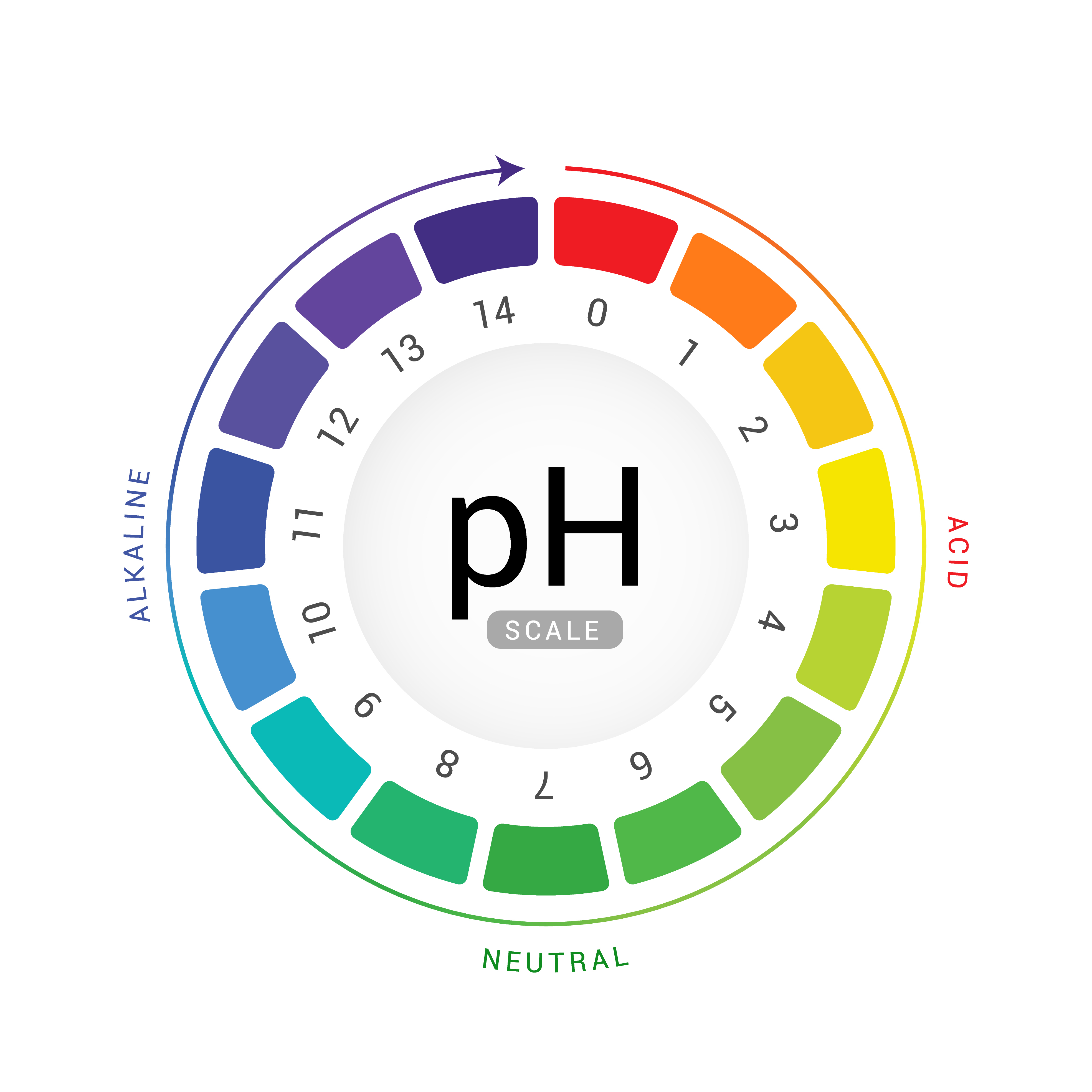Alkaline (Alkali)