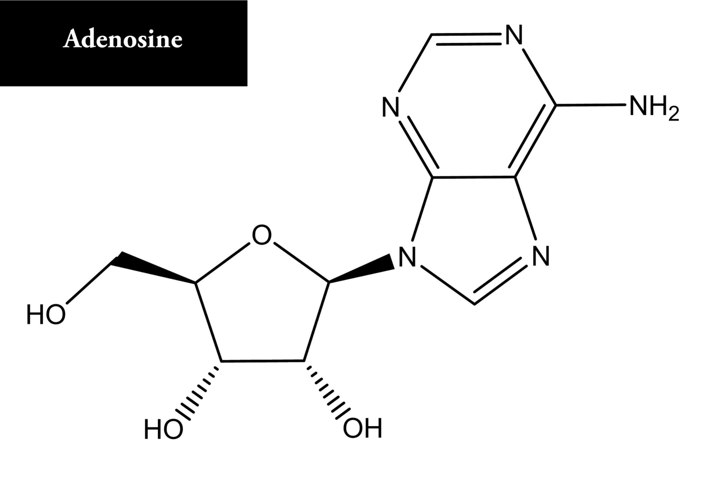 Adenosine